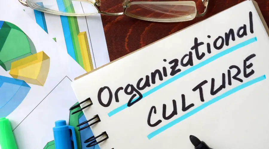 Measuring How Digital Transformation Impacts Culture in Organizations